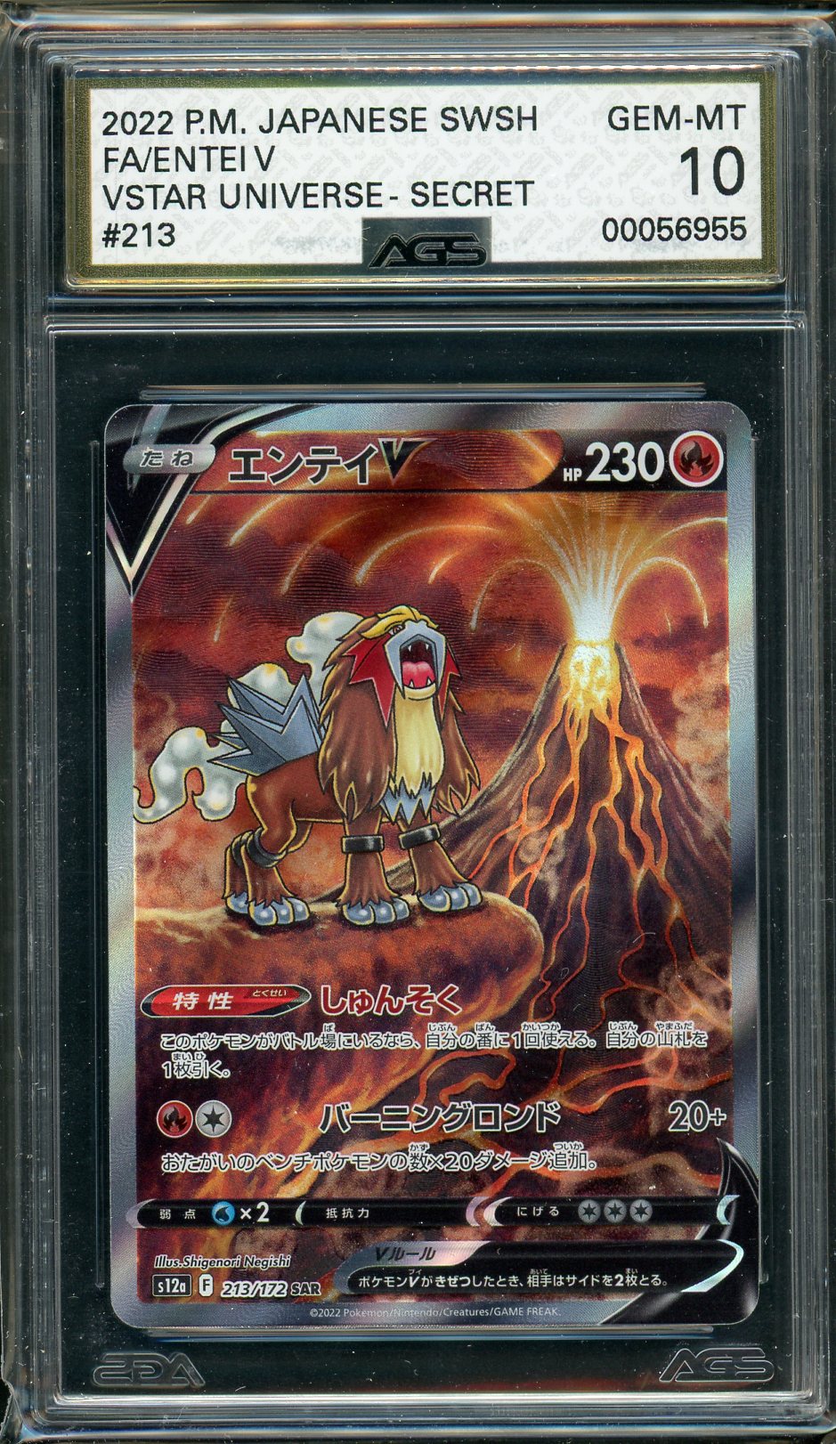 Ags (Gem-Mt 10) Entei V #213 (Japanese) - Vstar Universe (#00056955)
