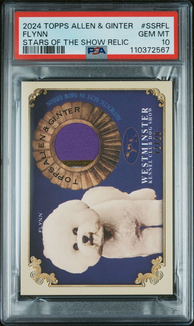 Sports Topps 2024 Topps Allen & Ginter Stars Flynn #Ssrfl Relic /20 PSA 10