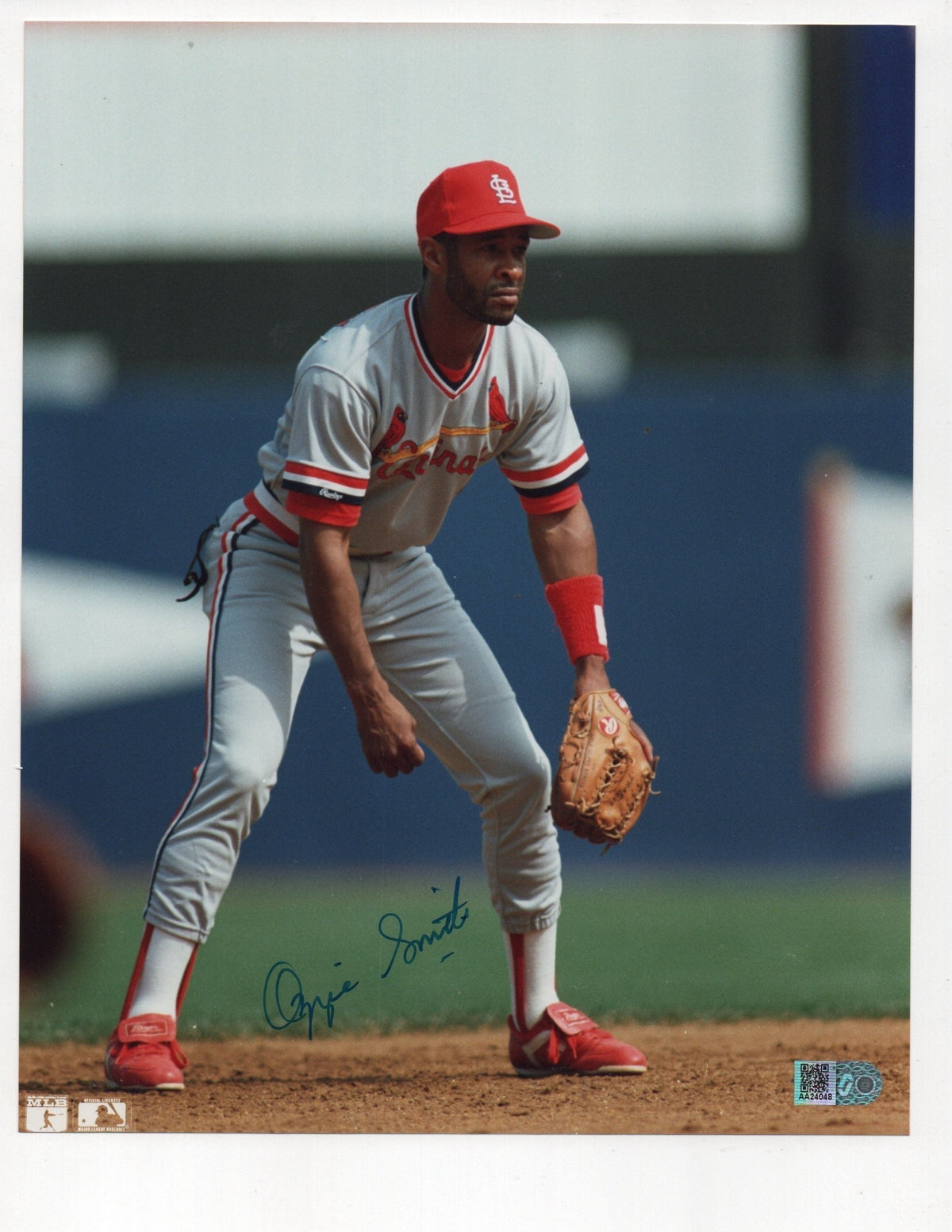 Ozzie Smith Signed 8X10 Photo (Aiv Aa24048)