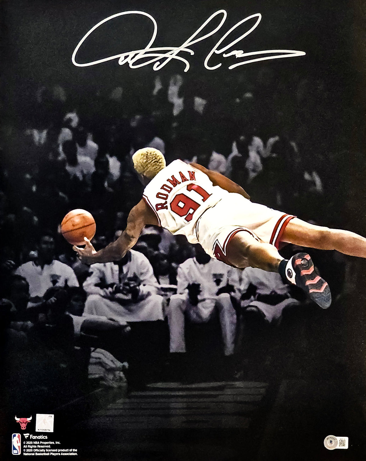 Dennis Rodman Autographed 16X20 Photo Chicago Bulls Beckett Bas Witness Stock #220712