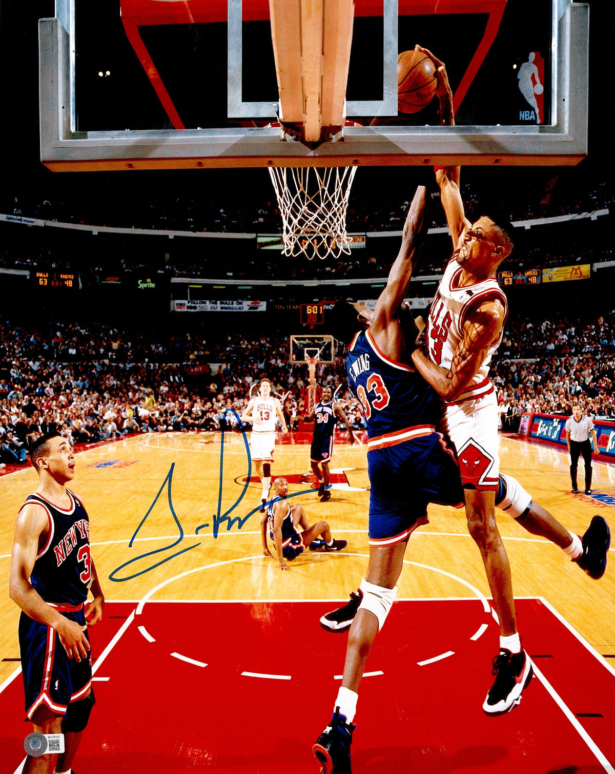 Scottie Pippen Autographed 16X20 Photo Chicago Bulls Dunking Over Patrick Ewing Beckett Bas Witness