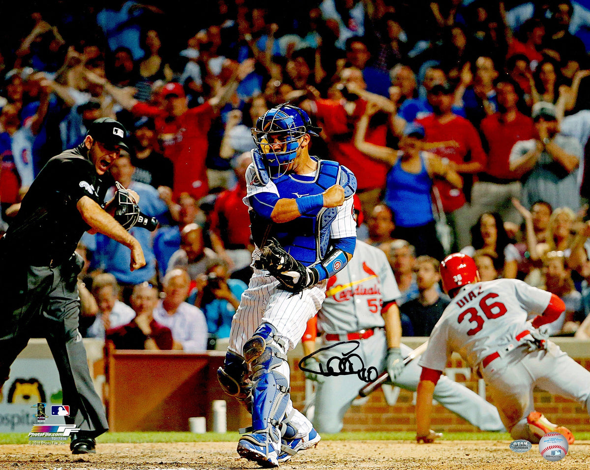 Willson Contreras Autographed 16X20 Photo Chicago Cubs Wc Holo