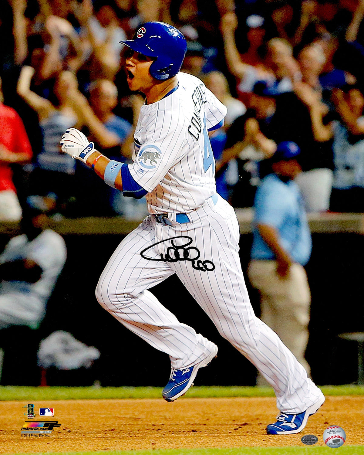 Willson Contreras Autographed 16X20 Photo Chicago Cubs Wc Holo