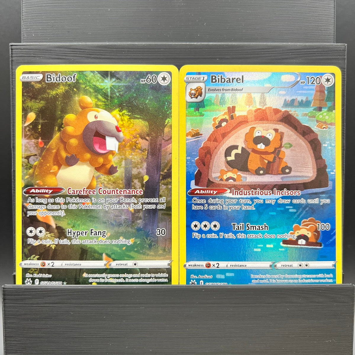 Bidoof Bundle - Crown Zenith - Gg