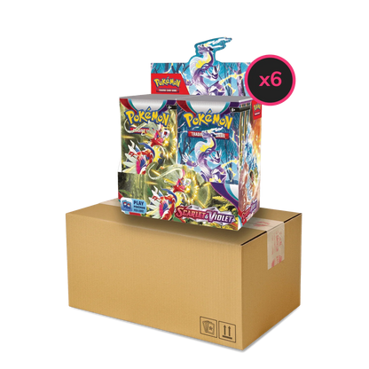 Pokemon TCG - Scarlet & Violet - Base Set - Display Case (6x Booster Boxes)