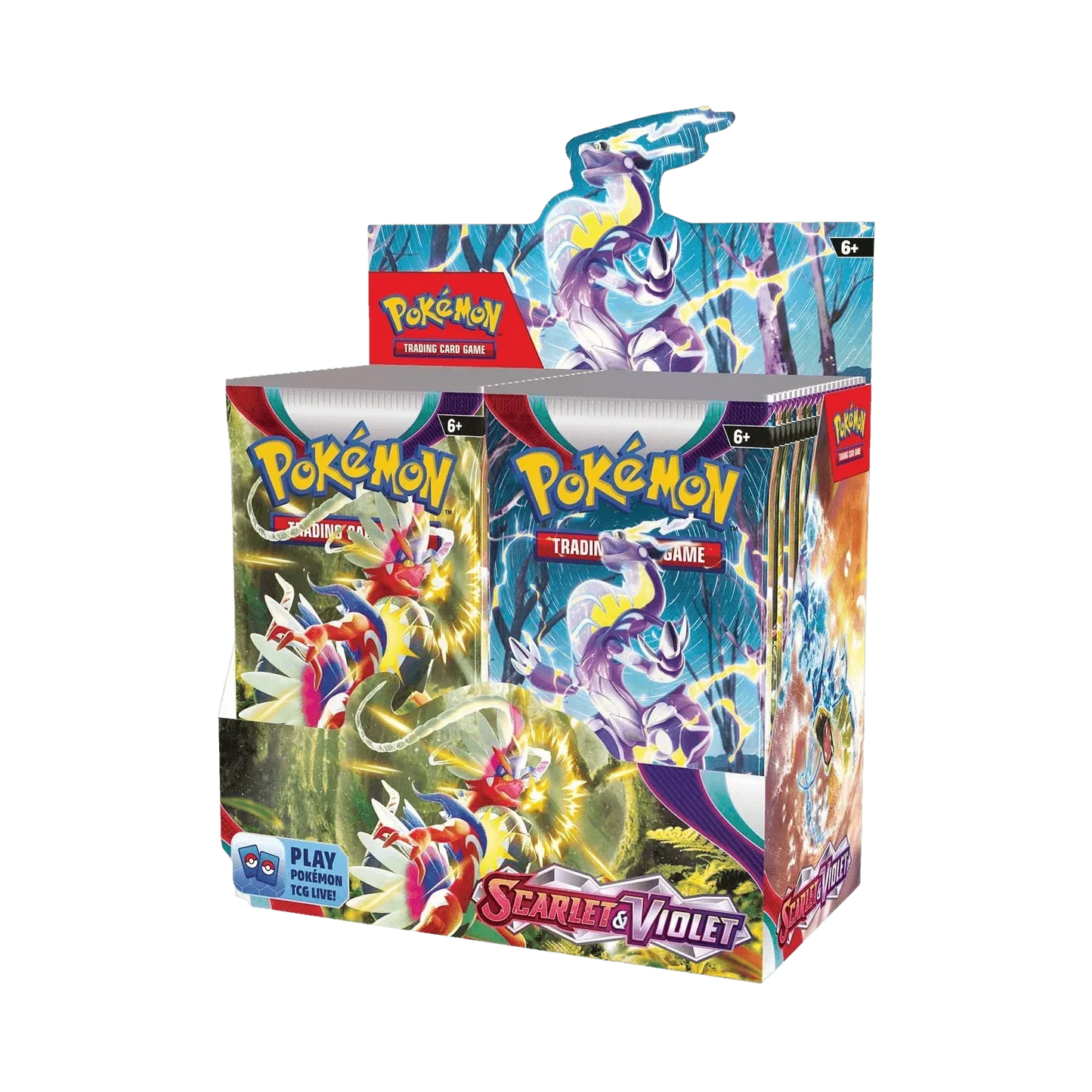 Pokemon TCG - Scarlet & Violet - Base Set - Display Case (6x Booster Boxes)