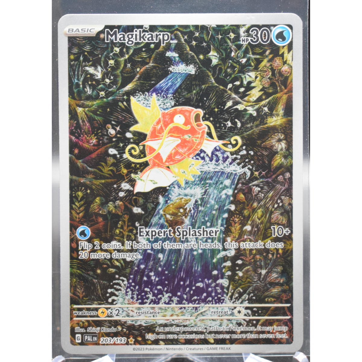Pokémon Magikarp - 203/193 - Sv02: Paldea Evolved (Pal)